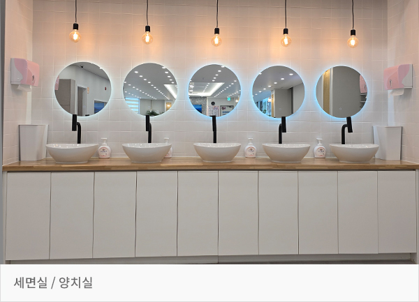 공지사항