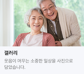 갤러리
